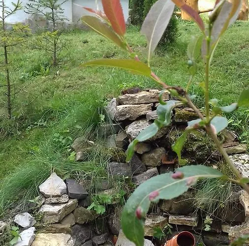 Дом отдыха Emka